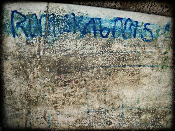 写真 12-05-31 0 38 04