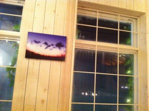 写真 12-07-26 14 33 56