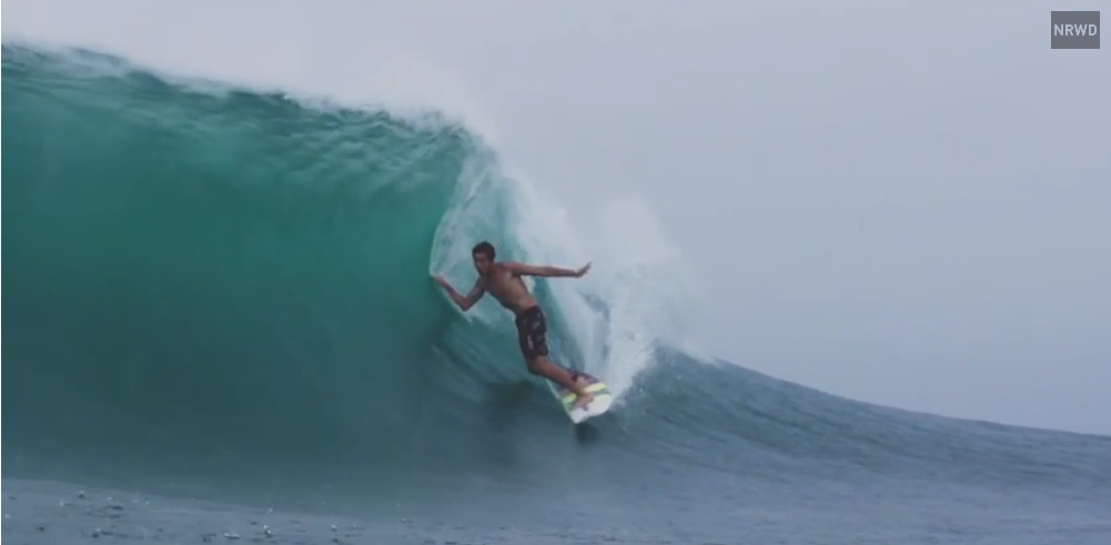 Kopi Luwak, with Kalani David