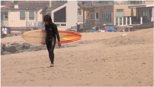 【必見動画】カリフォルニア出身の世界的スタイルマスターJared Mellがログからフィンレス、ミッドレングス・シングルフィンまでを巧みに乗りこなす