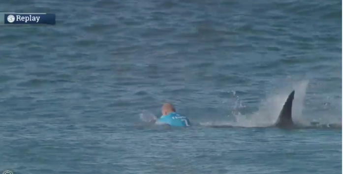 【世界のニュース】WCT第6戦”J-BAY OPEN”ファイナル中にMick Fanningがサメに襲われる!!