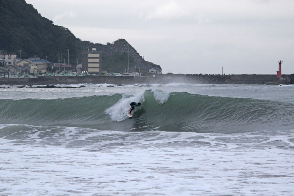 NP_L6292momoto tsuzuki