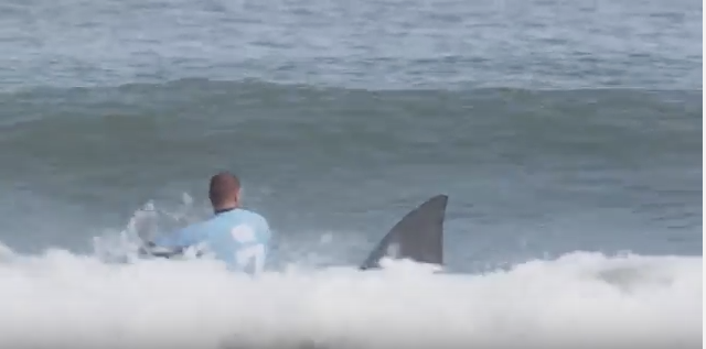 【必見動画】こんなのありなのか!? Mick Fanningのシャークアタックをパロッた南アフリカのTVCM