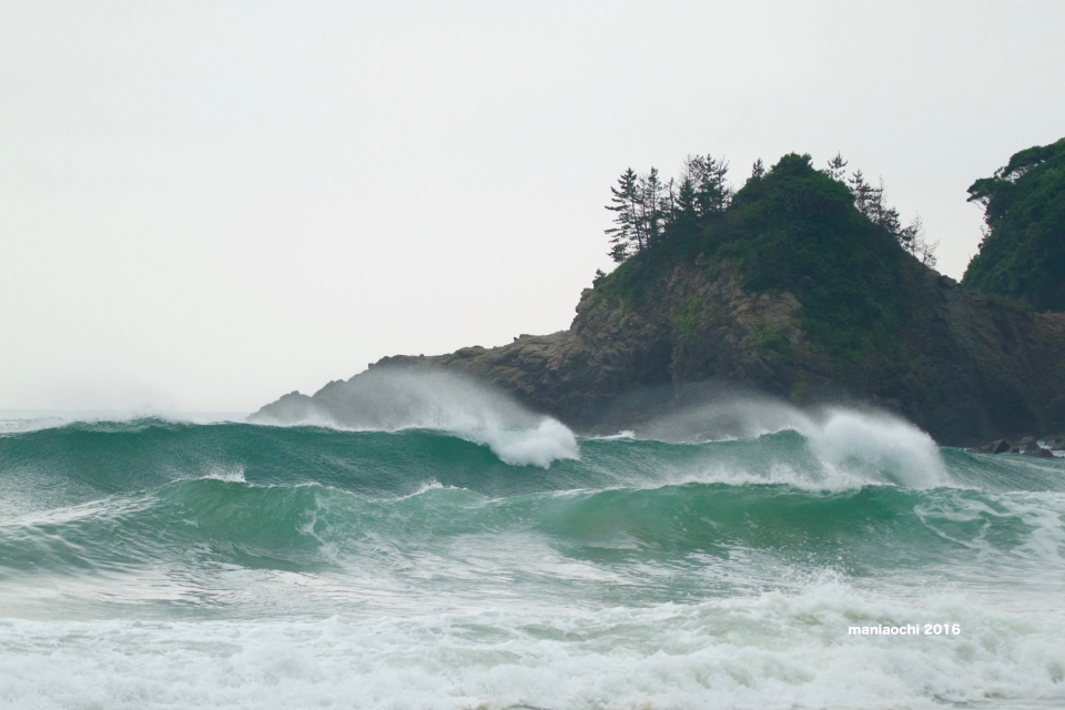 960_MG_7497 のコピー