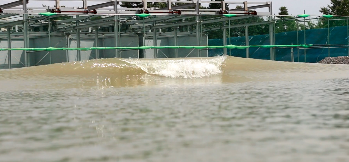 スクリーンショット 2016-07-20 5.06.10
