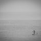 2016_09_17_0279055