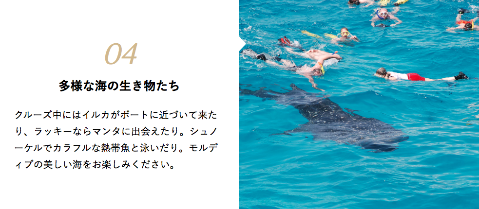 %e3%82%b9%e3%82%af%e3%83%aa%e3%83%bc%e3%83%b3%e3%82%b7%e3%83%a7%e3%83%83%e3%83%88-2016-09-12-16-58-26