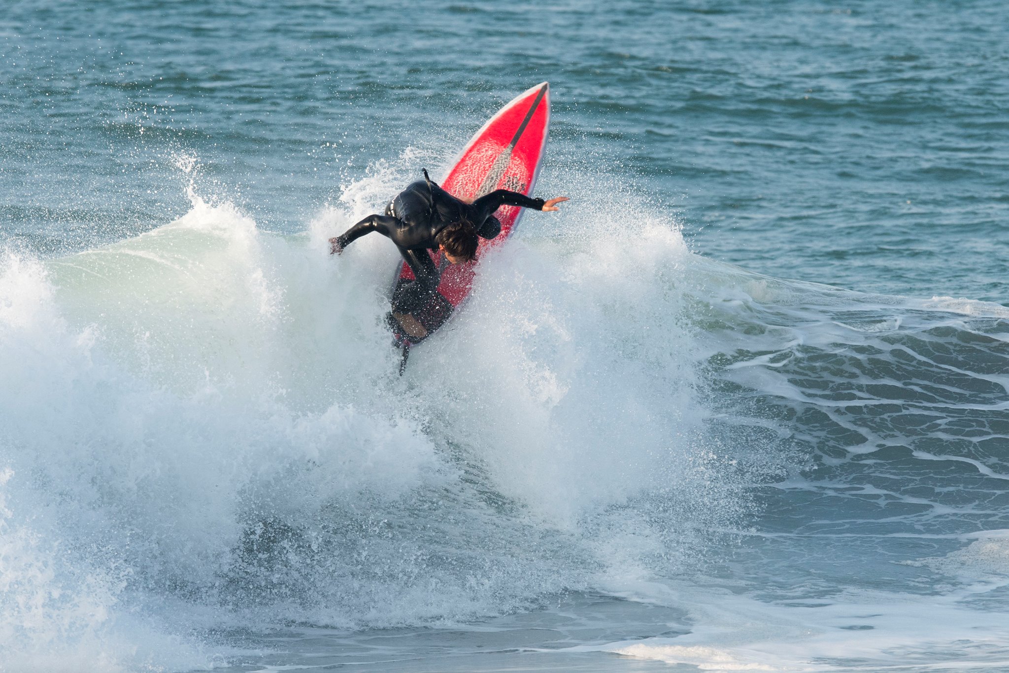 14678008_988600731250704_622856979_o