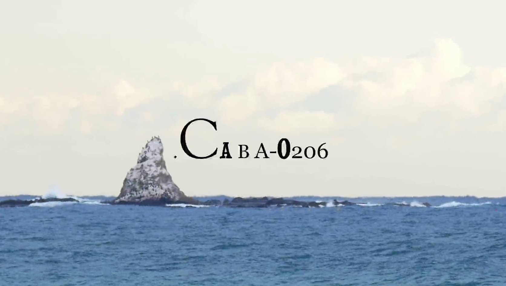 スクリーンショット 2017-02-06 18.13.21