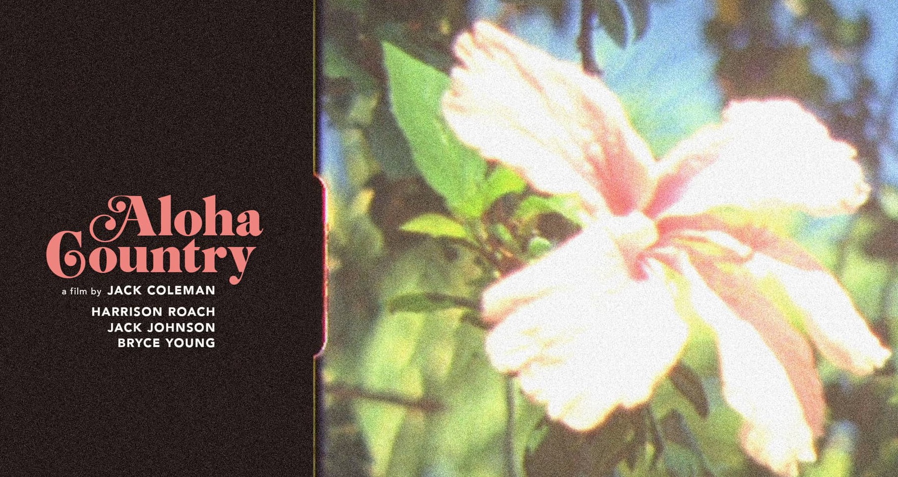 【必見動画】数々のヒット曲を生み出したミュージシャン・プロサーファーJack Johnson、Harrison Roach、Bryce Youngによるハワイセッションを収録した鬼才フィルマーJack Coleman最新作