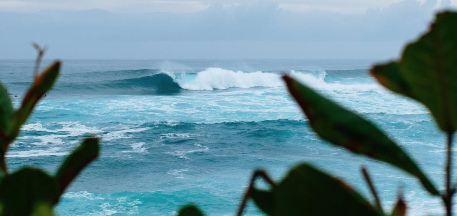 スクリーンショット 2017-11-25 9.01.58