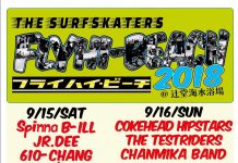 【SURF×SKATE×MUSIC】9/15(土)~9/16(日)に渡り”THE SURFSKATERS 17″が辻堂海岸を会場に開催決定!! FLYHI-Beachライブ出演豪華アーティストがいよいよ発表!!