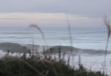 【colorsTV】西高東低の強いうねりにより綺麗なチューブ波が出現した伊良湖サンドバー・バレル・セッション