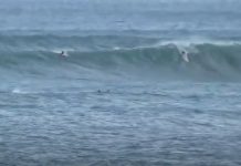 【台風10号】まるで日本のワイメア!? 日本指折りのビッグウェイバー山本博也とローカルサーファーによる足摺岬リターン・セッション