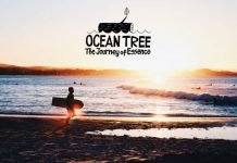 【Green colors】京都を舞台にした歴史上初の木製サーフボード作りがドキュメンタリー映画化決定!!SFJ事務局長に就任したプロサーファー石川拳大が”OEANTREE 〜The Journey of Essence〜”第2弾制作を発表!
