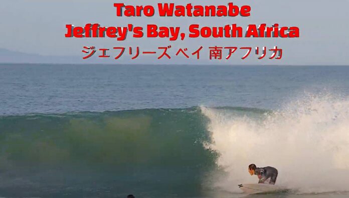 tarowatanabejbay
