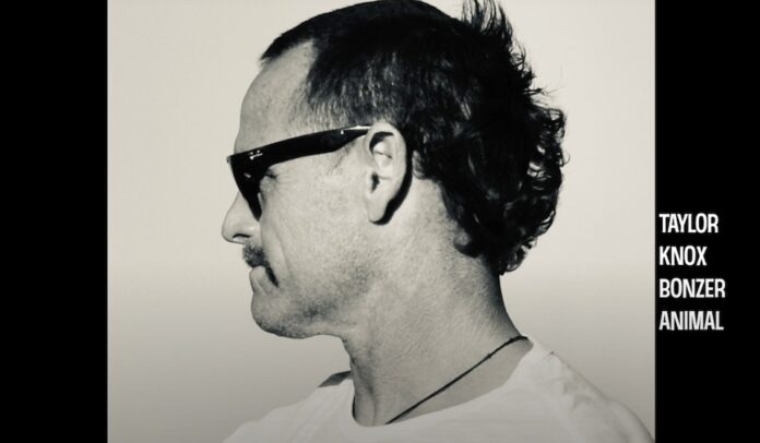 taylorknoxbonzerrock