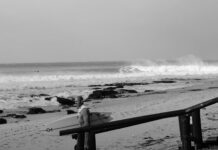 【11×ワールドチャンプ】Kelly SlaterによるJ-BAYツインスタビ・セッション