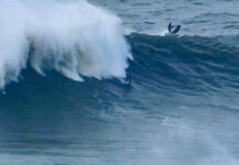 【ナザレで日本人サーファー最大級の怪物波】3シーズン目のナザレに挑戦中の金尾玲生がWSL TUDOR Nazare Big Wave Challenge開催直前でサイズアップしたナザレにチャージ!