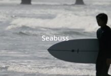 【注目のオルタナティブ・ボード】ZBURH surfboardsのMoriiシェイプのロングセラーモデルFISH&CHIPとBUNBLEBBEに次ぐビッグ・ツインフィッシュ”Seabuss”モデルがデビュー!