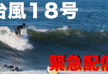 【oceanpeople最新動画】大澤伸幸、大橋海人、岩倉”Gujo”具威、澤田菜々緒たちによる台風18号セッション
